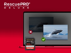 RescuePRO Deluxe Image recovery software included free