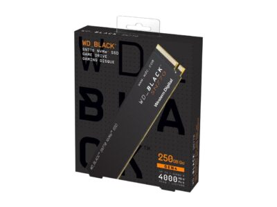 Western Digital WD_BLACK SN770 M.2 2280 250GB PCIe Gen4 16GT/s, up to 4 Lanes Internal Solid State Drive (SSD) WDS250G3X0E