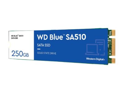 WD Blue 250GB SA510 M.2 Internal Solid State Drive SSD - WDS250G3B0B