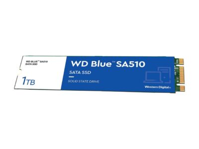 WD Blue 1TB SA510 M.2 Internal Solid State Drive SSD - WDS100T3B0B