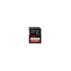 SanDisk Extreme PRO SDXC Card (128GB)