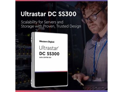 WD Ultrastar SS300 1.92TB SAS 12Gb/s 3D TLC 2.5-Inch Data Center SSD ?? HUSTR7619ASS200