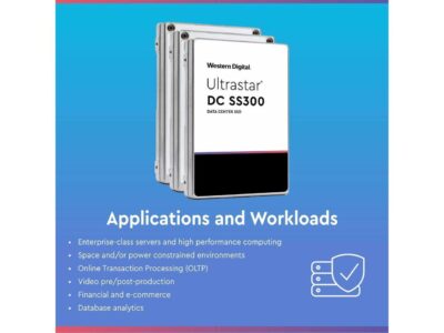 WD Ultrastar SS300 1.92TB SAS 12Gb/s 3D TLC 2.5-Inch Data Center SSD ?? HUSTR7619ASS200