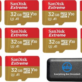 32GB SanDisk Extreme (Ten Pack) 4K Micro Memory Card (SDSQXAF-032G-GN6MN) UHD Video Speed 30 UHS-1 V30 32G MicroSD HC Bundle with Everything But Stromboli Card Reader