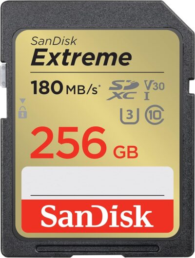 SanDisk 64GB Extreme SDXC UHS-I Memory Card - C10, U3, V30, 4K, UHD, SD Card - SDSDXV2-064G-GNCIN