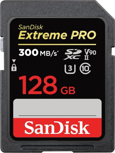 SanDisk 512GB Extreme PRO SDXC UHS-II Memory Card - C10, U3, V90, 8K, 4K, Full HD Video, SD Card - SDSDXDK-512G-GN4IN