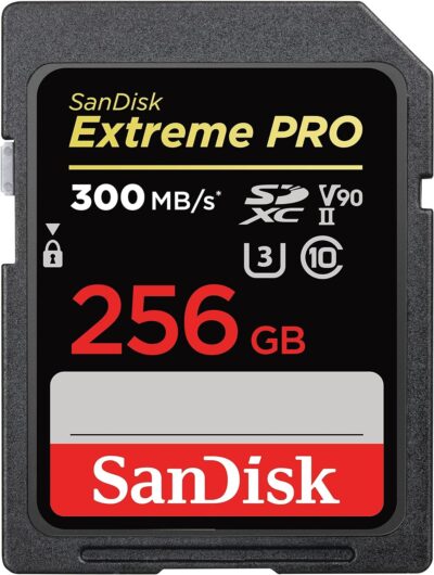 SanDisk 512GB Extreme PRO SDXC UHS-II Memory Card - C10, U3, V90, 8K, 4K, Full HD Video, SD Card - SDSDXDK-512G-GN4IN