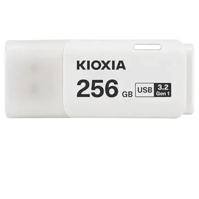 KIOXIA LU301W256GG4