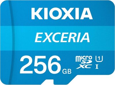 Kioxia Exceria 256GB MicroSD UHS-I Class 10 Full HD 100MB/s MicroSDHC Memory Card for Smartphone & Tablet Bundle with (1) GoRAM Plastic Case (256GB, 1 Pack)