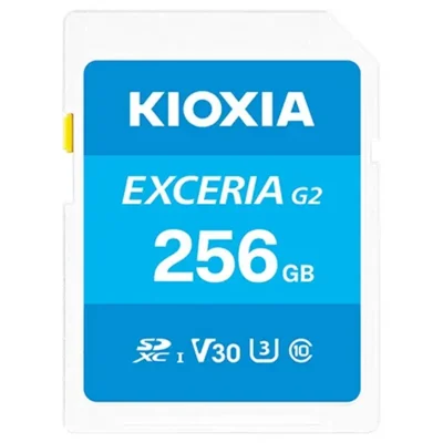 KIOXIA LNEX2L256GG4