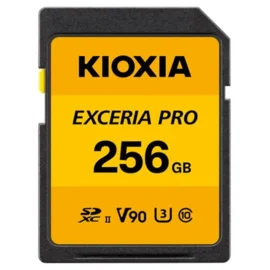 KIOXIA LNPR1Y256G