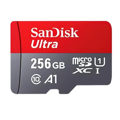 SanDisk SDSDQAD-256G